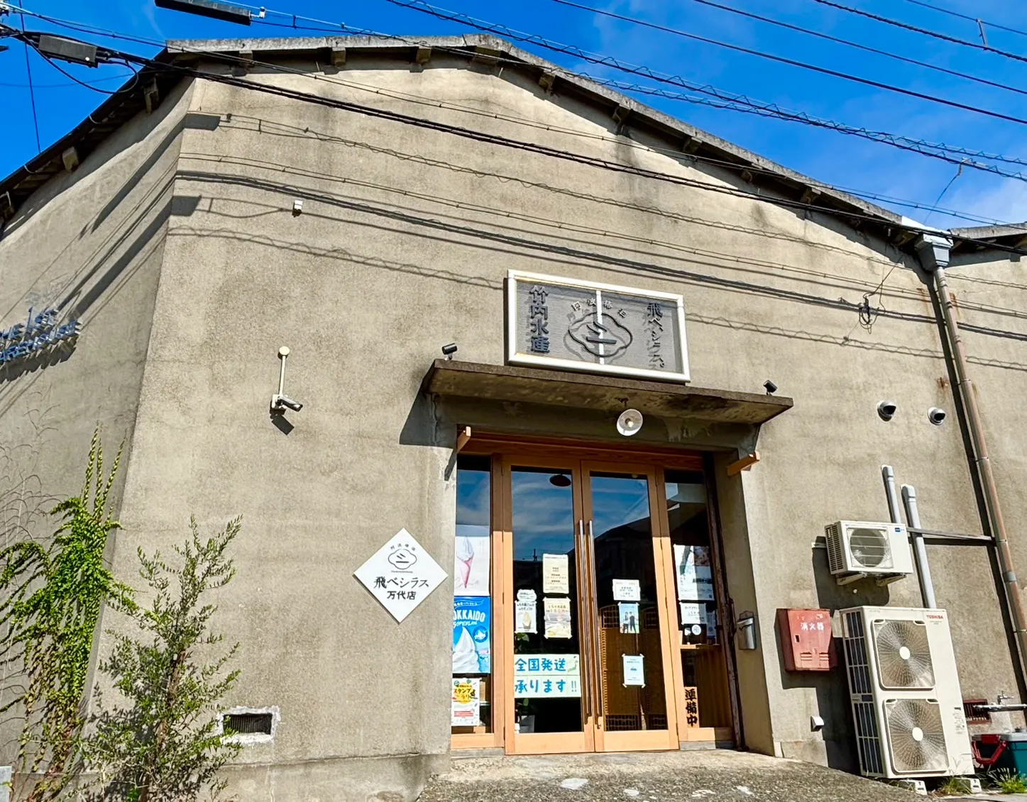 飛べシラス万代店